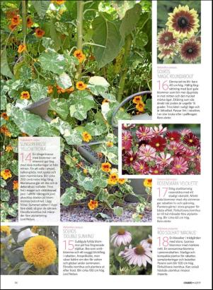 levaochbo-20190208_000_00_00_056.pdf