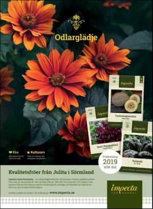 levaochbo-20190208_000_00_00_057.pdf