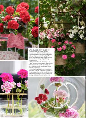 levaochbo-20190215_000_00_00_045.pdf