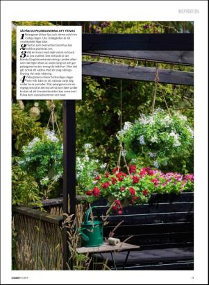 levaochbo-20190215_000_00_00_051.pdf