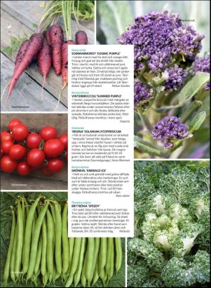 levaochbo-20190222_000_00_00_055.pdf