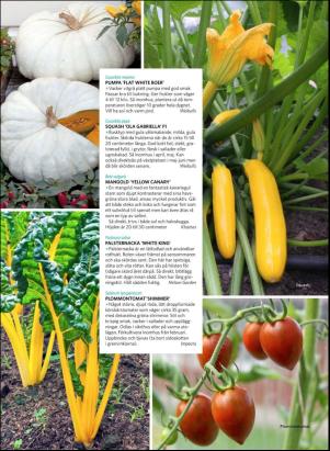 levaochbo-20190222_000_00_00_056.pdf