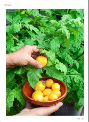 levaochbo-20190222_000_00_00_058.pdf