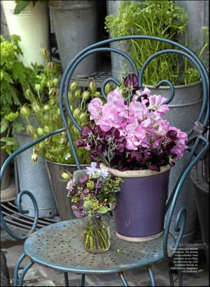 levaochbo-20190301_000_00_00_054.pdf