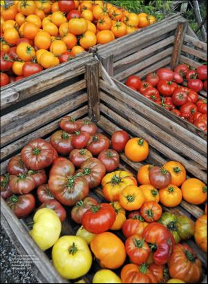 levaochbo-20190301_000_00_00_057.pdf