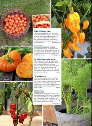 levaochbo-20190301_000_00_00_058.pdf