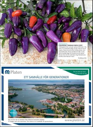 levaochbo-20190301_000_00_00_064.pdf