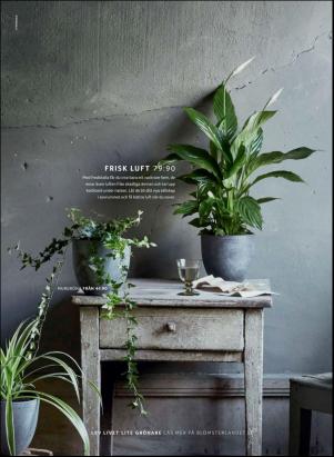 levaochbo-20190308_000_00_00_038.pdf