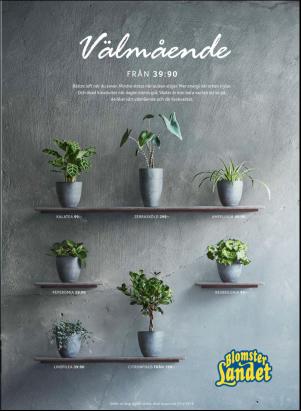 levaochbo-20190308_000_00_00_039.pdf