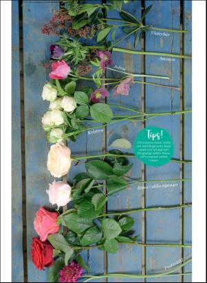 levaochbo-20190308_000_00_00_051.pdf