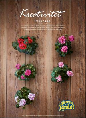 levaochbo-20190329_000_00_00_009.pdf