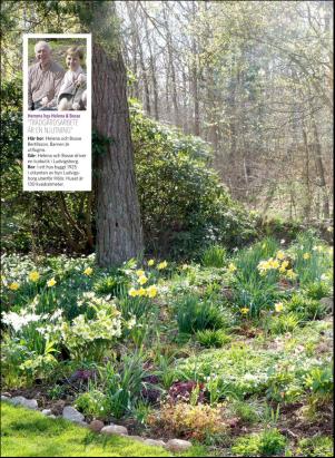 levaochbo-20190329_000_00_00_054.pdf