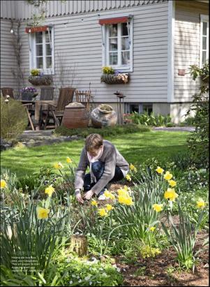 levaochbo-20190329_000_00_00_057.pdf