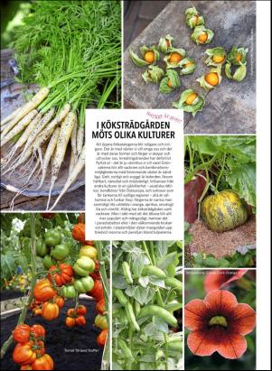 levaochbo-20190405_000_00_00_060.pdf