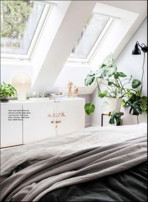 levaochbo-20190412_000_00_00_061.pdf