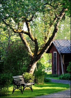 levaochbo-20190412_000_00_00_062.pdf