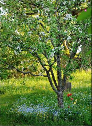 levaochbo-20190412_000_00_00_066.pdf