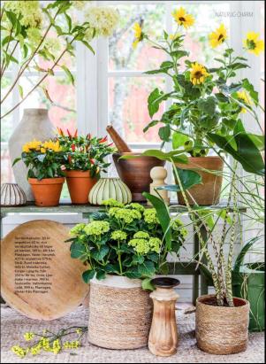 levaochbo-20190426_000_00_00_023.pdf