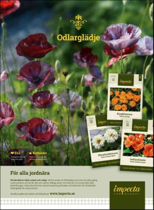 levaochbo-20190503_000_00_00_039.pdf