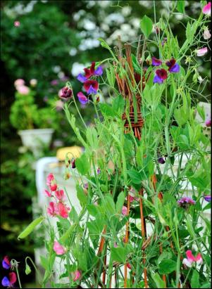 levaochbo-20190503_000_00_00_058.pdf