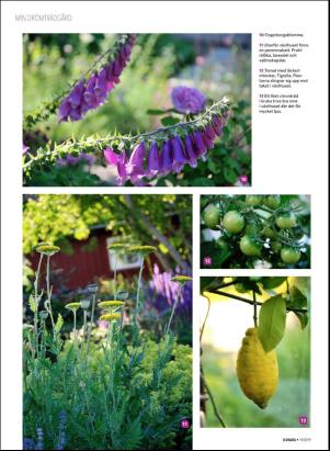 levaochbo-20190510_000_00_00_034.pdf