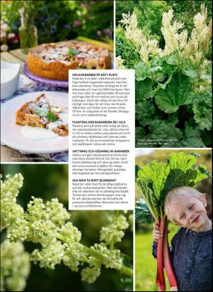 levaochbo-20190510_000_00_00_061.pdf