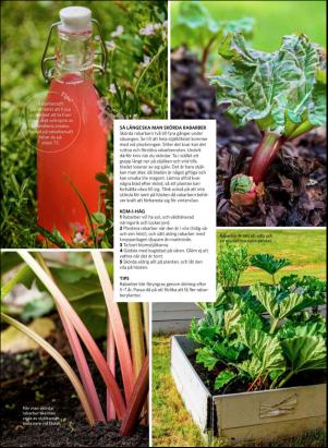 levaochbo-20190510_000_00_00_062.pdf