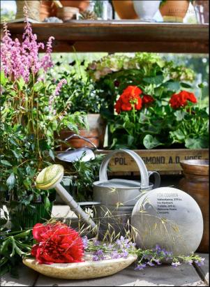 levaochbo-20190517_000_00_00_027.pdf