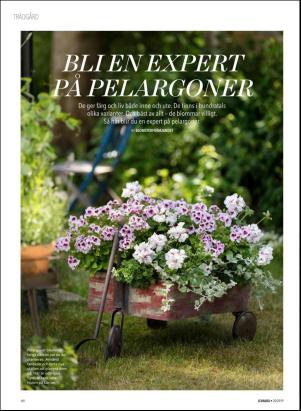 levaochbo-20190517_000_00_00_046.pdf