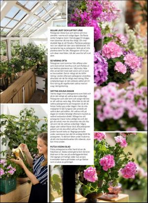 levaochbo-20190517_000_00_00_047.pdf