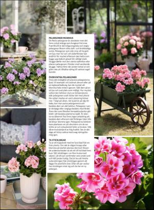 levaochbo-20190517_000_00_00_048.pdf