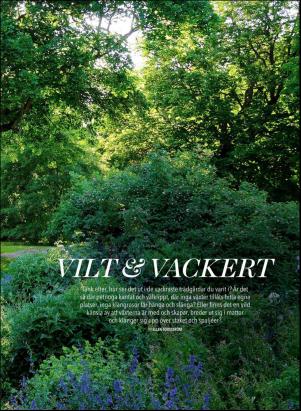 levaochbo-20190517_000_00_00_055.pdf