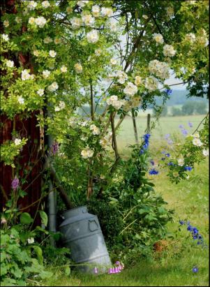 levaochbo-20190517_000_00_00_056.pdf