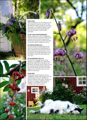 levaochbo-20190517_000_00_00_058.pdf