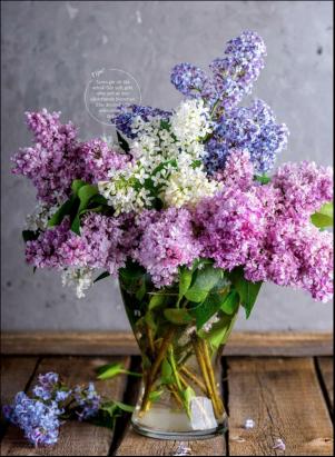 levaochbo-20190524_000_00_00_045.pdf