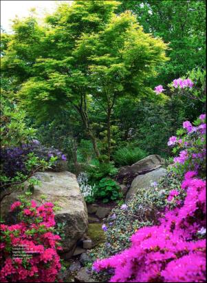 levaochbo-20190531_000_00_00_059.pdf