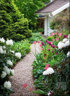 levaochbo-20190531_000_00_00_060.pdf