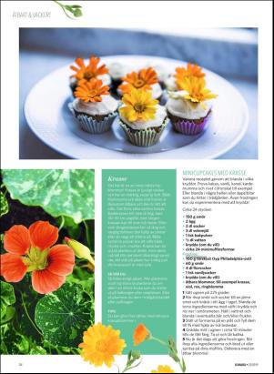 levaochbo-20190607_000_00_00_052.pdf