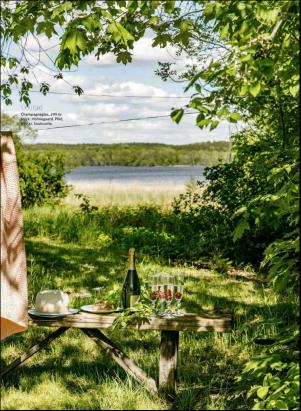 levaochbo-20190614_000_00_00_024.pdf