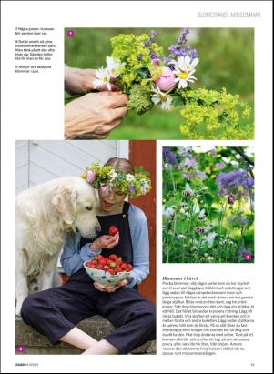 levaochbo-20190614_000_00_00_043.pdf