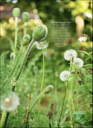 levaochbo-20190614_000_00_00_047.pdf