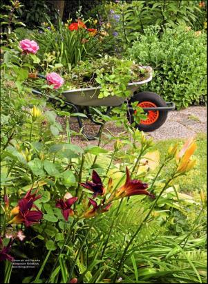 levaochbo-20190614_000_00_00_059.pdf