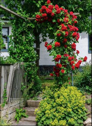 levaochbo-20190621_000_00_00_057.pdf