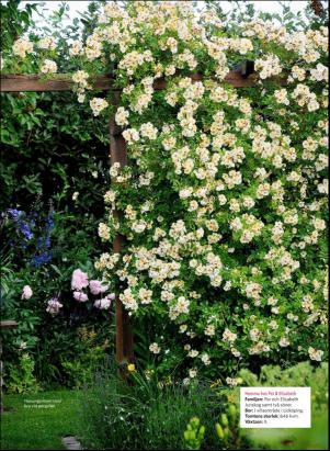 levaochbo-20190628_000_00_00_048.pdf