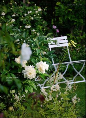 levaochbo-20190628_000_00_00_055.pdf