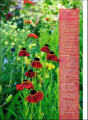 levaochbo-20190628_000_00_00_056.pdf