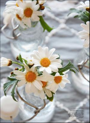 levaochbo-20190628_000_00_00_061.pdf