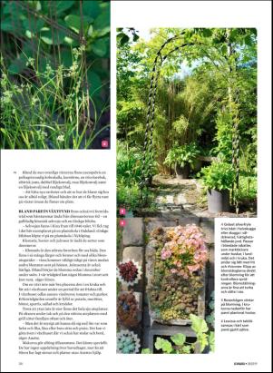 levaochbo-20190712_000_00_00_058.pdf