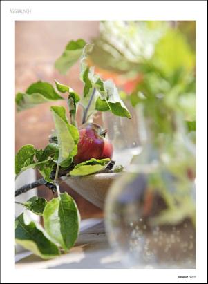 levaochbo-20190719_000_00_00_074.pdf