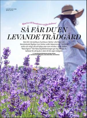 levaochbo-20190726_000_00_00_044.pdf